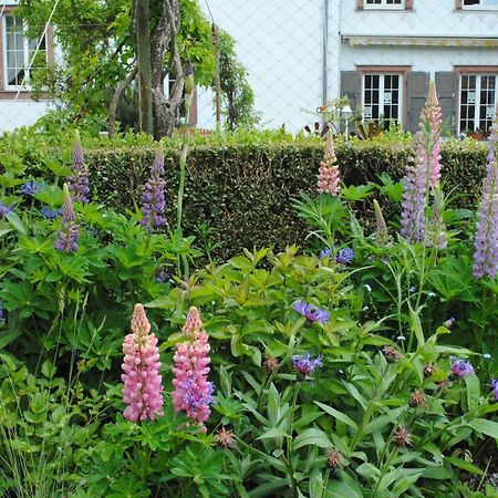 Bed and Breakfast La Vieille Eglise Le Hohwald Exterior foto