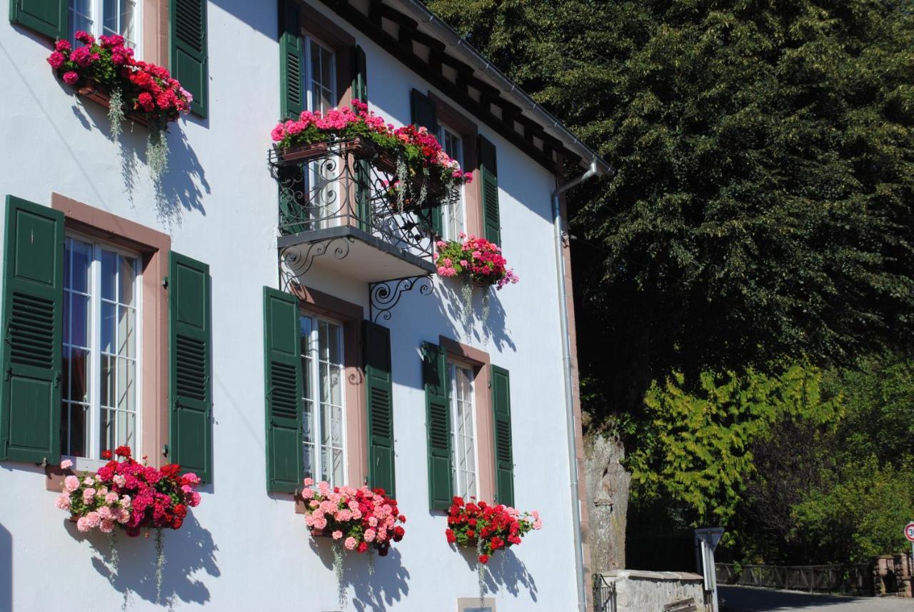 Bed and Breakfast La Vieille Eglise Le Hohwald Exterior foto